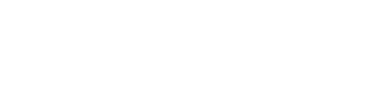 The Wonder Project logo